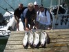 (08/02/2018) - Nice Striped Bass